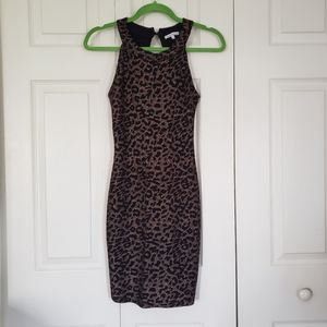 Charlotte Russe Dress
